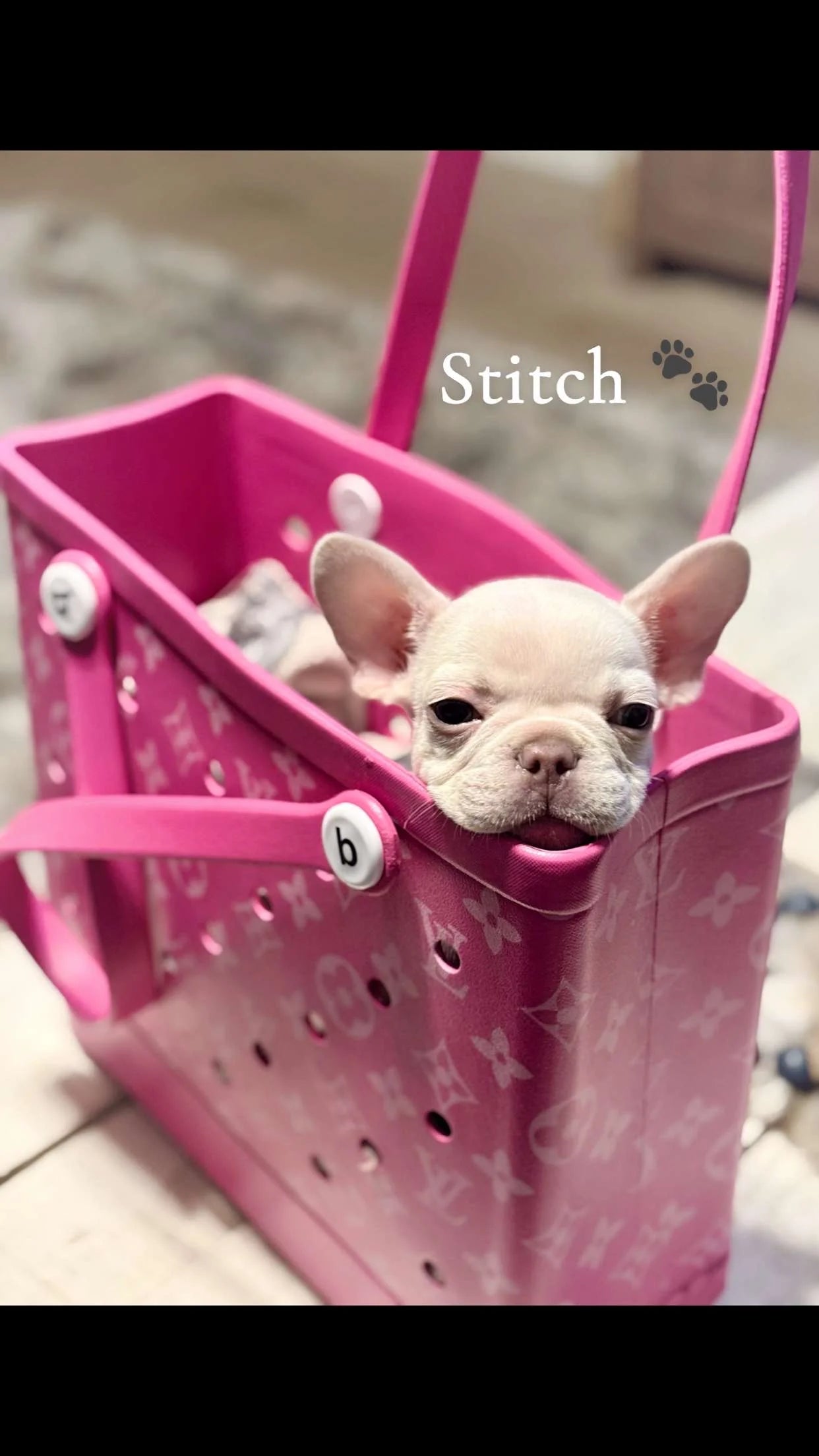 Stanley and Tote Bag Set Pink